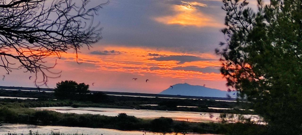 Suite Avec Tropezienne Vue Mer Hyères Eksteriør billede